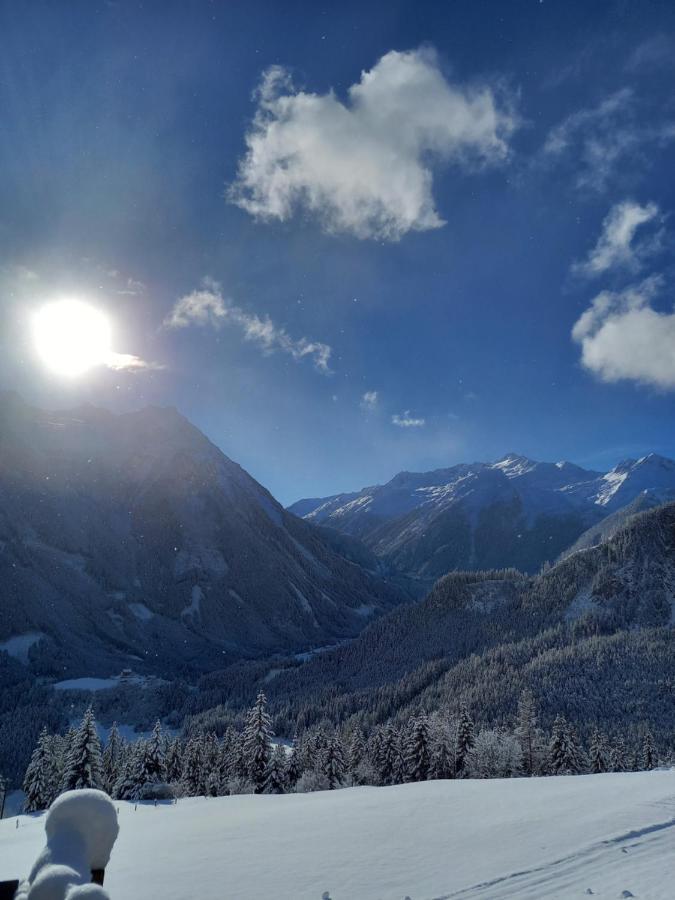 Appartement Reitlhof Wald im Pinzgau Luaran gambar