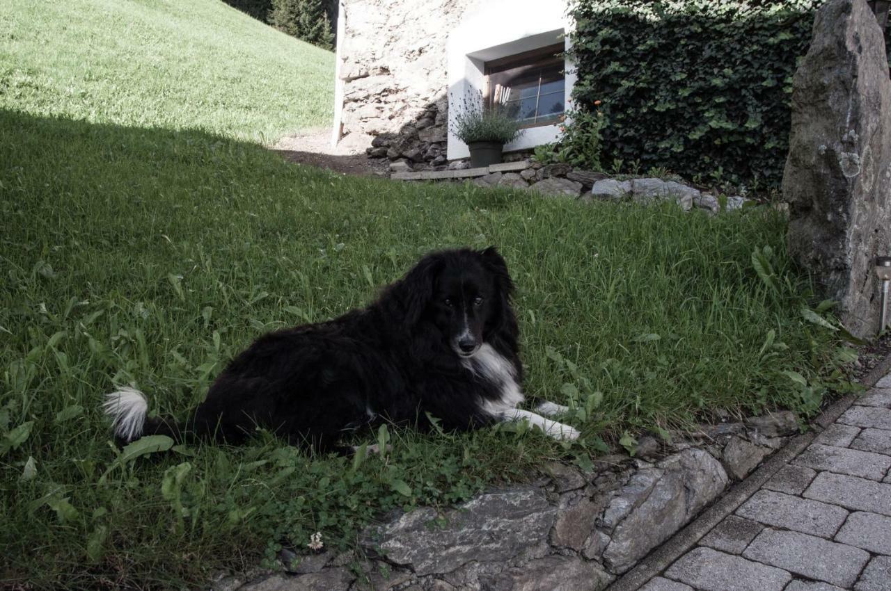 Appartement Reitlhof Wald im Pinzgau Luaran gambar